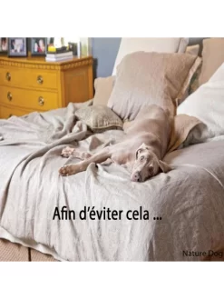 Mini-Barrière De Délimitation Pawz Away PetSafe -Le Monde des Chiens barriere de delimitation pawz away petsafe 2