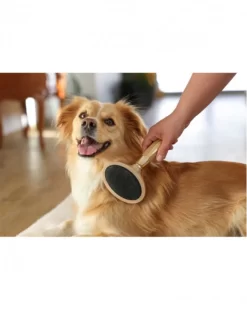 Brosse Carde Douce MagicBrush -Le Monde des Chiens brosse carde douce magicbrush kerbl 3