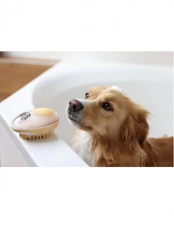 Brosse De Bain Chien MagicBrush -Le Monde des Chiens brosse de bain chien magicbrush 2