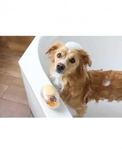 Brosse De Bain Chien MagicBrush -Le Monde des Chiens brosse de bain chien magicbrush 4