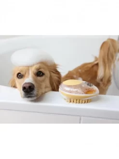 Brosse De Bain Chien MagicBrush -Le Monde des Chiens brosse de bain chien magicbrush 8