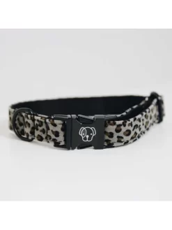 Collier Pour Chien Léopard Kentucky -Le Monde des Chiens collier pour chien leopard kentucky 2