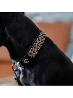 Collier Pour Chien Léopard Kentucky -Le Monde des Chiens collier pour chien leopard kentucky 3