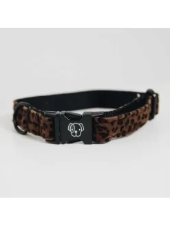 Collier Pour Chien Léopard Kentucky -Le Monde des Chiens collier pour chien leopard kentucky 5