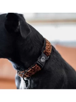 Collier Pour Chien Léopard Kentucky -Le Monde des Chiens collier pour chien leopard kentucky 9