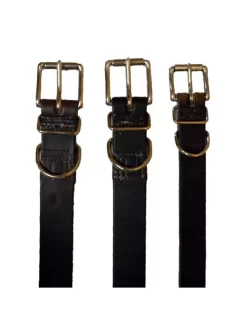 Collier Pour Chien Taille 3 Pravins -Le Monde des Chiens collier pour chien taille 3 pravins 2