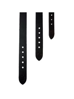 Collier Pour Chien Taille 3 Pravins