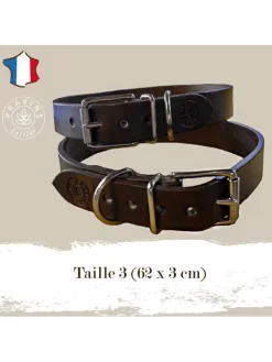 Collier Pour Chien Taille 3 Pravins -Le Monde des Chiens collier pour chien taille 3 pravins 3
