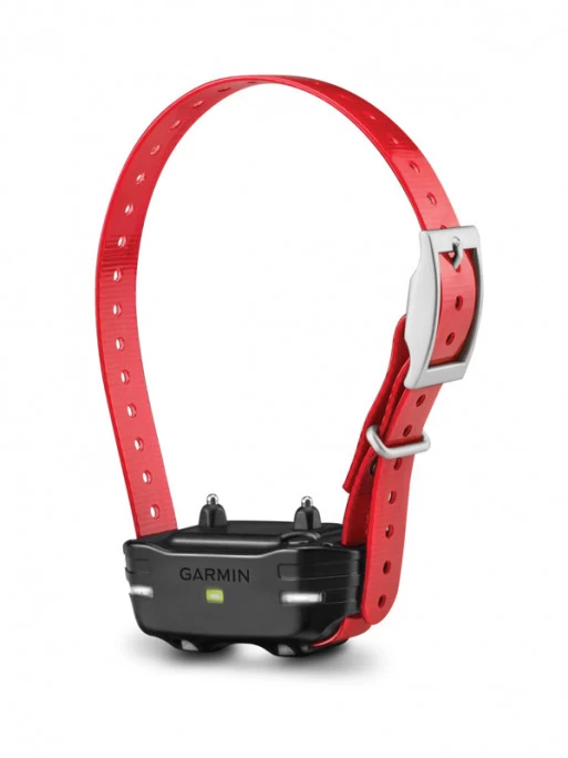 Collier Seul PT 10 Pro 70/550 Et Sport Pro Dressage Garmin 1 Collier Seul PT 10 Pro 70/550 Et Sport Pro Dressage Garmin