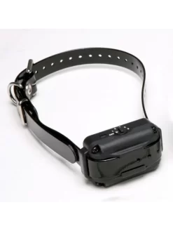 Collier Supplémentaire Dogtra EF-3500