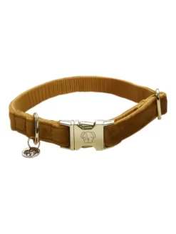 Collier Velvet Velours Kentucky -Le Monde des Chiens collier velvet kentucky 2