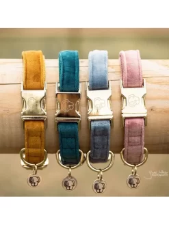 Collier Velvet Velours Kentucky -Le Monde des Chiens collier velvet kentucky 5