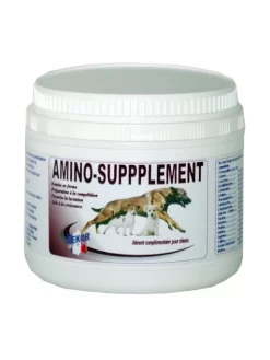 Complément Alimentaire Amino Supplément 1.2kg Rekor