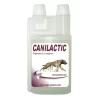 Complément Alimentaire Canilactic 500ml Rekor