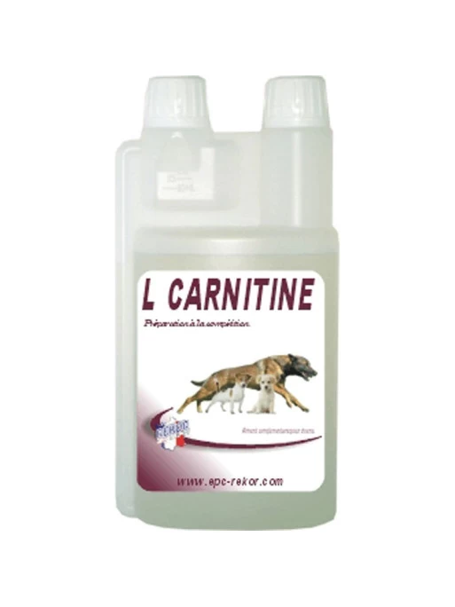 Complément Alimentaire Effort Et Récupération L-Carnitine 500ml Rekor 1 Complément Alimentaire Effort Et Récupération L-Carnitine 500ml Rekor