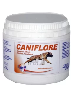 Complément Flore Intestinale Caniflore 150g Rekor