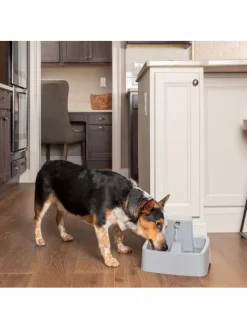 Fontaine 3.7L Drinkwell Petsafe