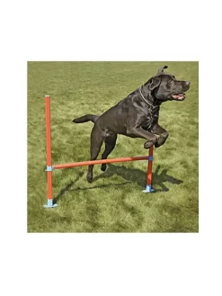 Rosewood Haie Agility Garden