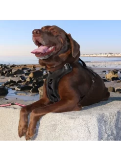 Kurgo Harnais - JOURNEY AIR - Noir -Le Monde des Chiens harnais journey air noir 2