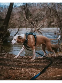 Kurgo Harnais - JOURNEY AIR - Noir