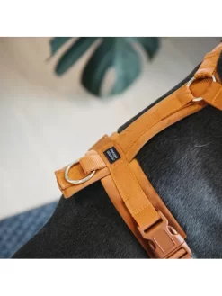 Harnais Pour Chien Actif Velvet Kentucky