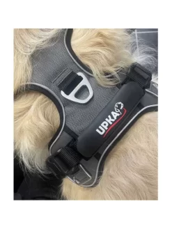 Harnais Style I-Dog -Le Monde des Chiens harnais style i dog 2