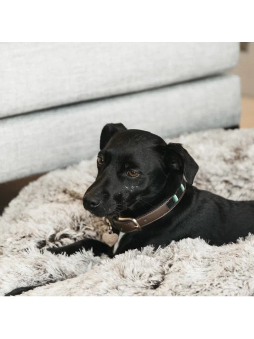 Panier Pour Chien Confort Donut Kentucky 2 Panier Pour Chien Confort Donut Kentucky – Image 2