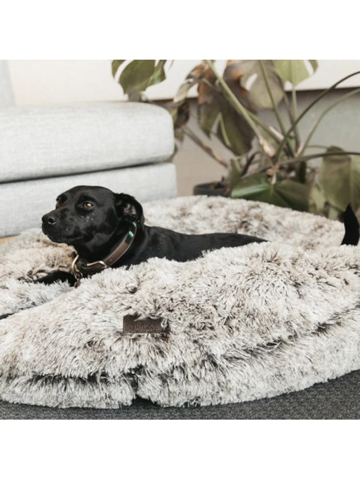 Panier Pour Chien Confort Donut Kentucky 3 Panier Pour Chien Confort Donut Kentucky – Image 3