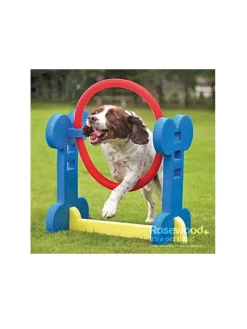 Rosewood Pneu Agility Indoor