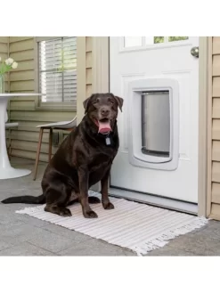 Porte Connectée SmartDoor Petsafe 13 Porte Connectée SmartDoor Petsafe -Le Monde des Chiens porte connectee smartdoor petsafe habitacle animal 4