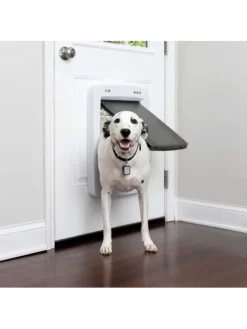 Porte Connectée SmartDoor Petsafe 14 Porte Connectée SmartDoor Petsafe -Le Monde des Chiens porte connectee smartdoor petsafe habitacle animal 5