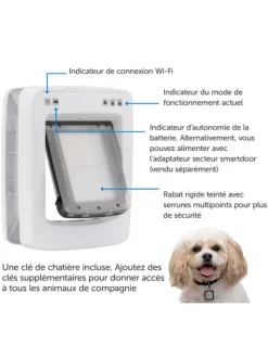 Porte Connectée SmartDoor Petsafe 17 Porte Connectée SmartDoor Petsafe -Le Monde des Chiens porte connectee smartdoor petsafe habitacle animal 8