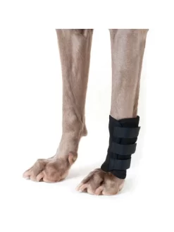 Protection Pattes Avant Back On Track