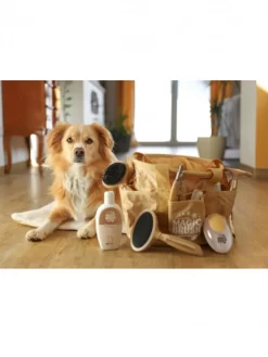 Shampoing Universel Chien 200ml MagicBrush