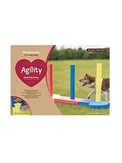 Rosewood Slalom Agility Indoor